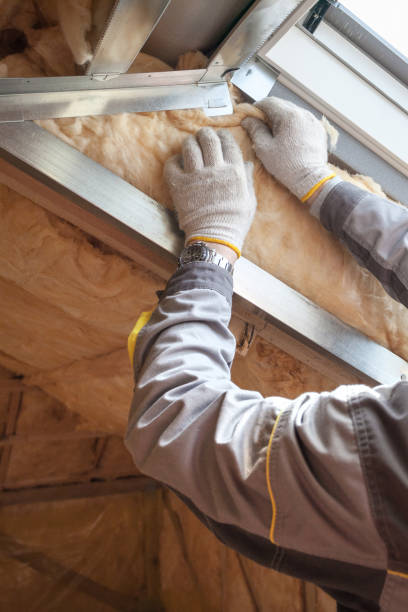 Best Insulation Maintenance and Repair in West Union, IA